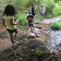 hiking the Black Hills