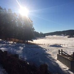 snowy meadow in front of cabins