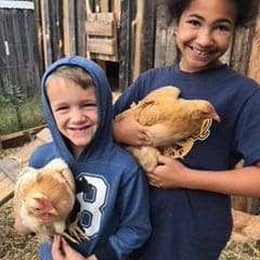 kids with chickens for farm fresh eggs