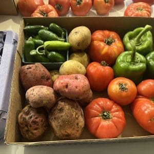 10LB Produce Variety Box