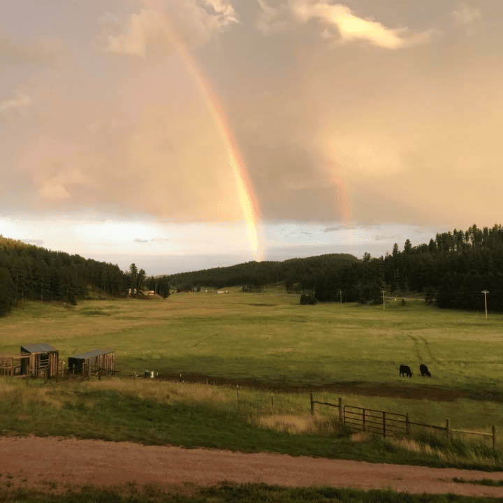 View from Cabins in the Black Hills