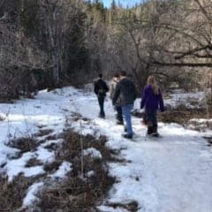 hiking in winter