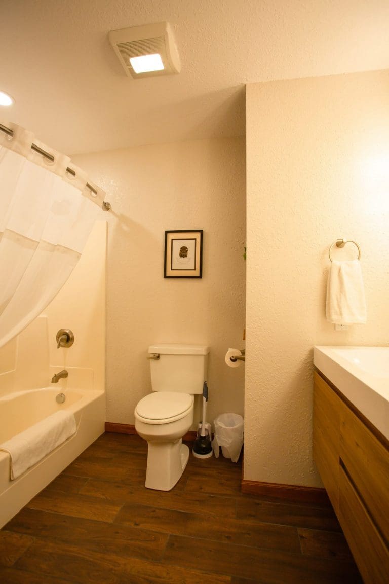 toilet