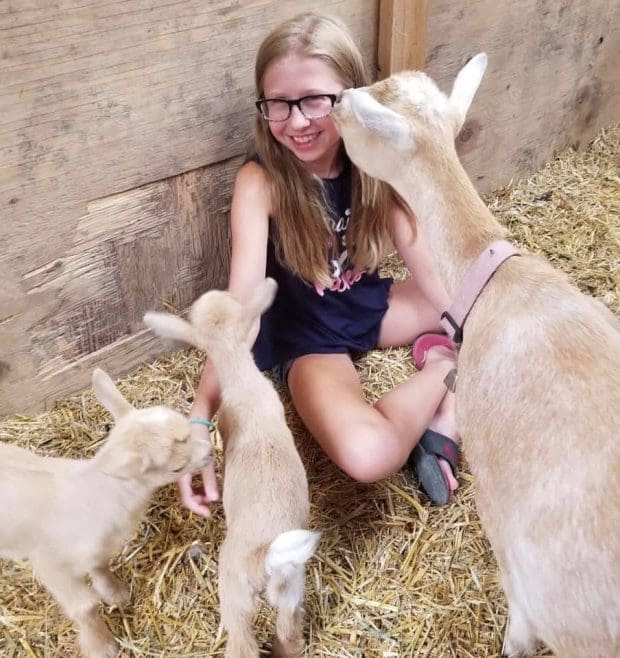 Goat love