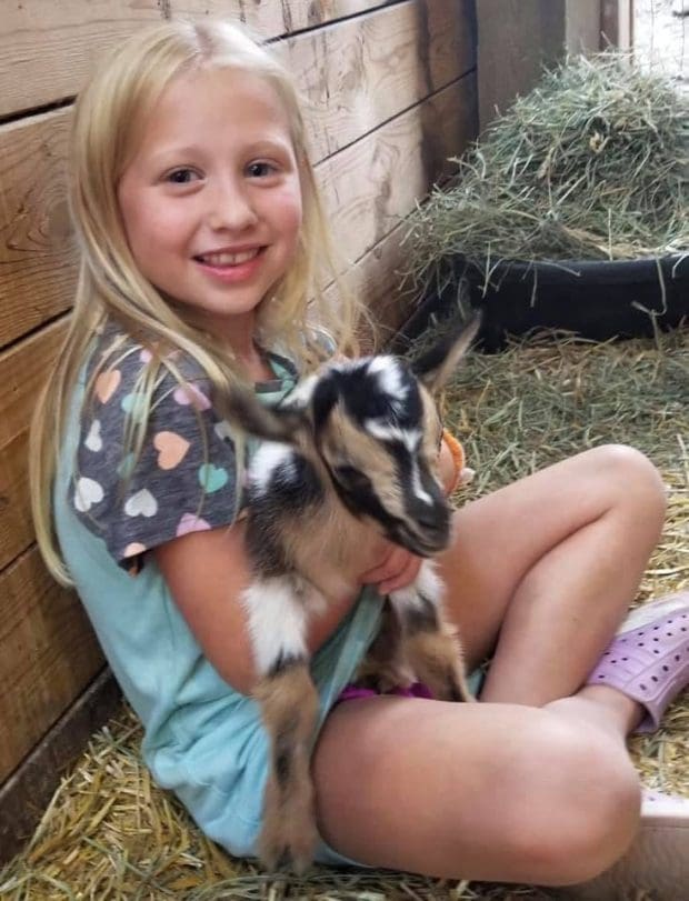 Holding a goat