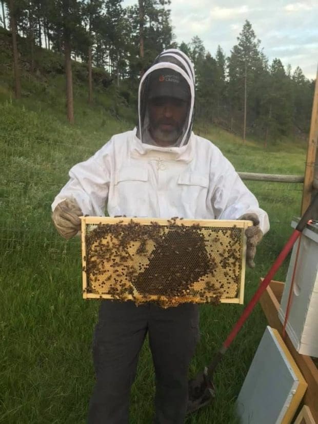 Bees