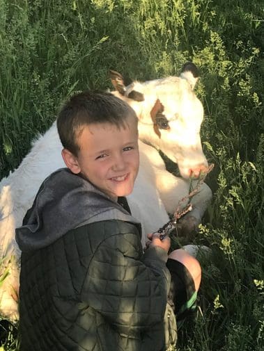 Petting the calf