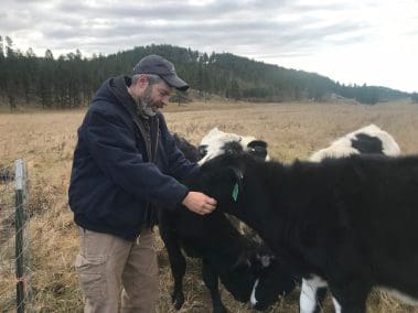 Good company with the cows